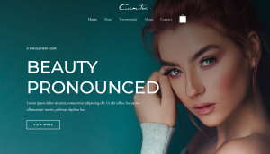 Premium beauty brand display